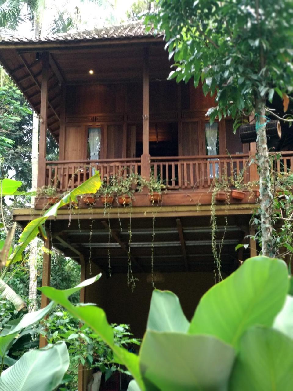 Gasthaus Jungle Joglo Tampaksiring Exterior foto