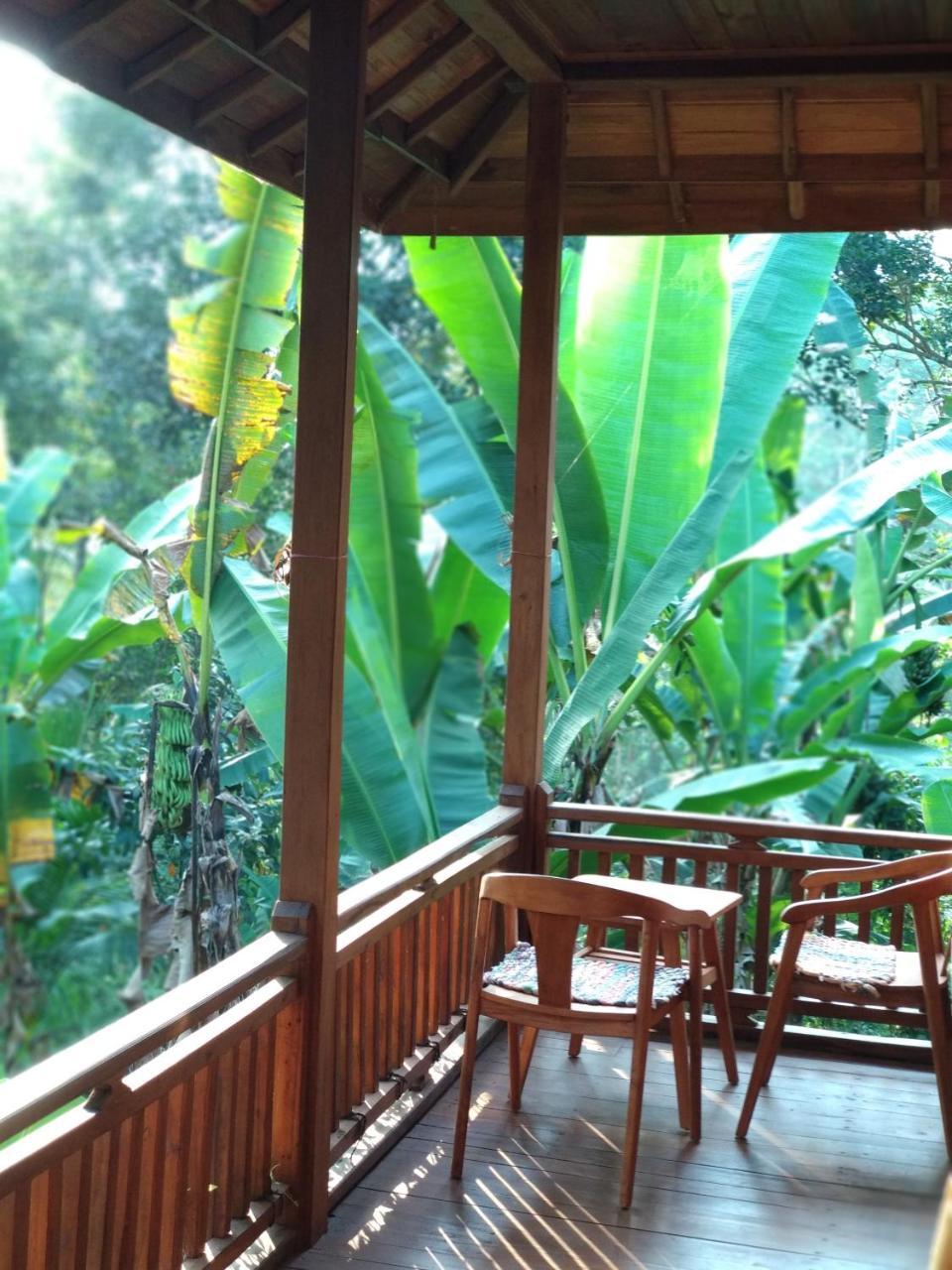 Gasthaus Jungle Joglo Tampaksiring Exterior foto