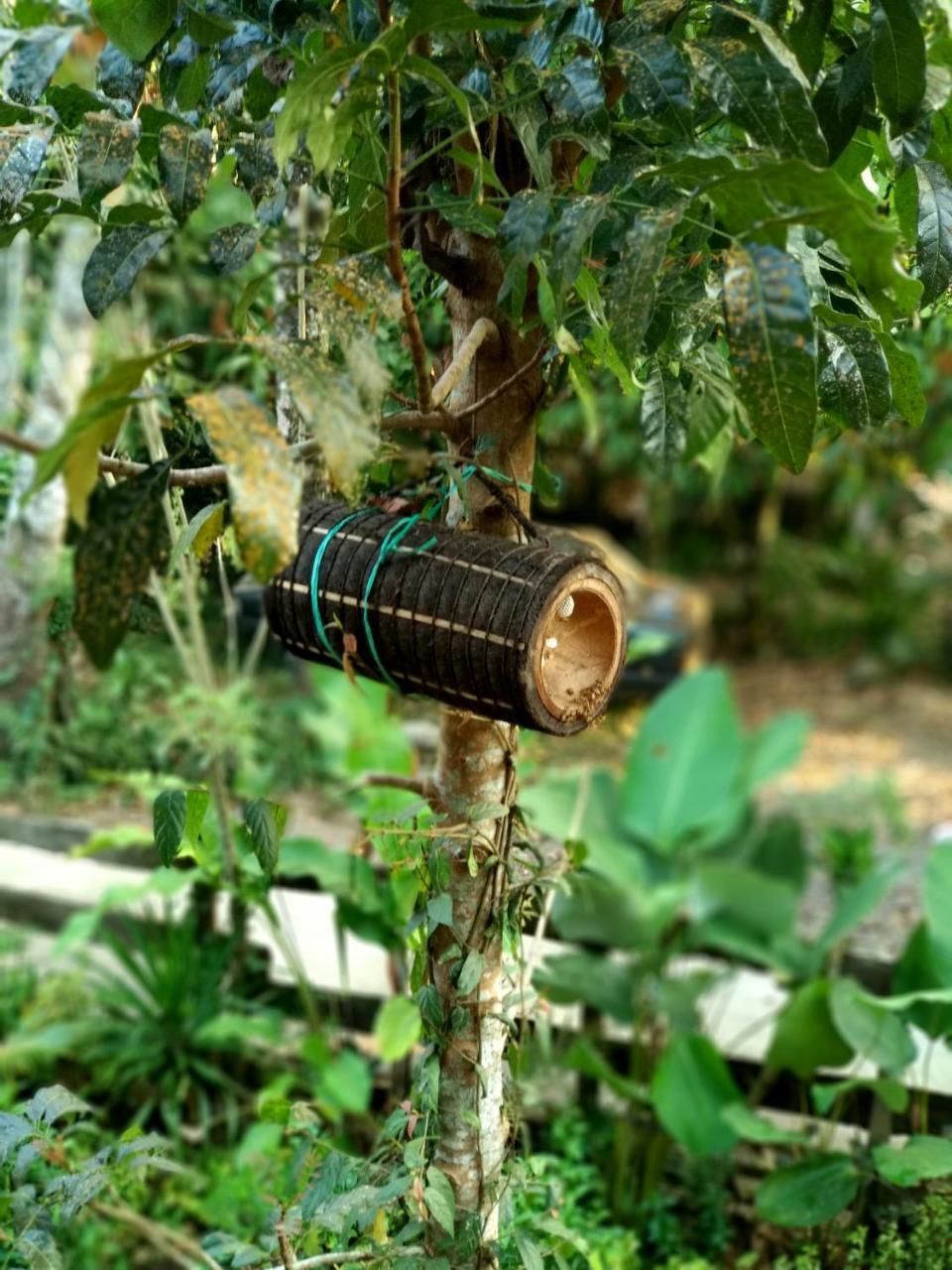 Gasthaus Jungle Joglo Tampaksiring Exterior foto