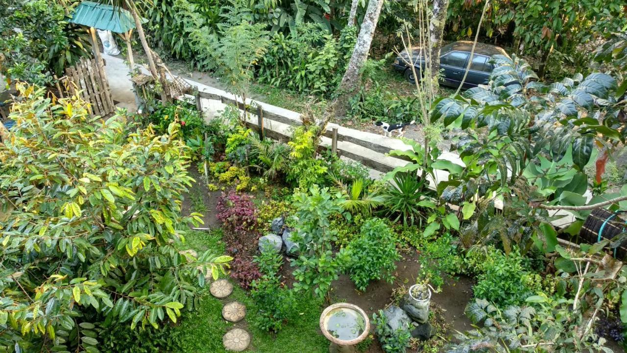 Gasthaus Jungle Joglo Tampaksiring Exterior foto
