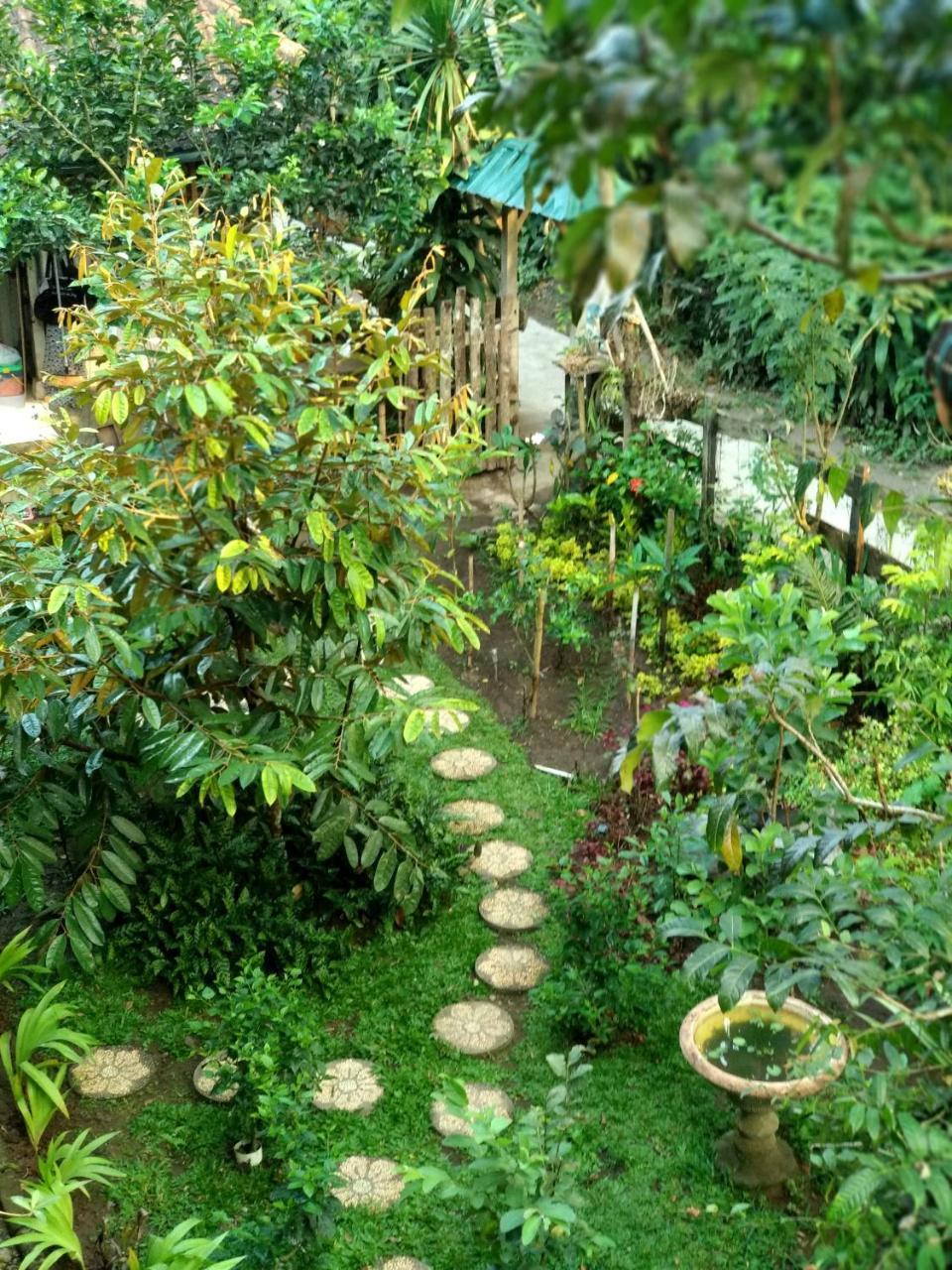 Gasthaus Jungle Joglo Tampaksiring Exterior foto