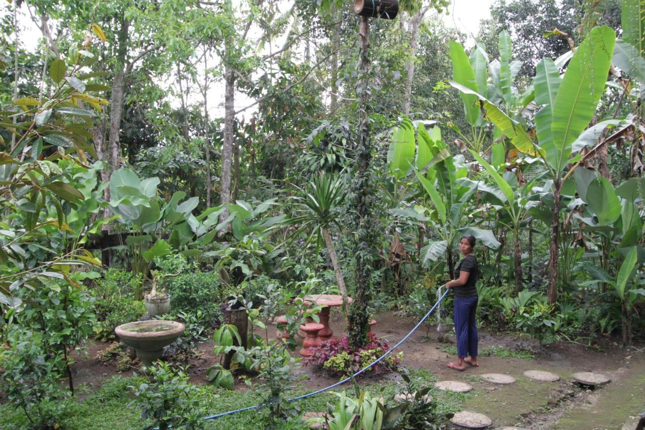 Gasthaus Jungle Joglo Tampaksiring Exterior foto