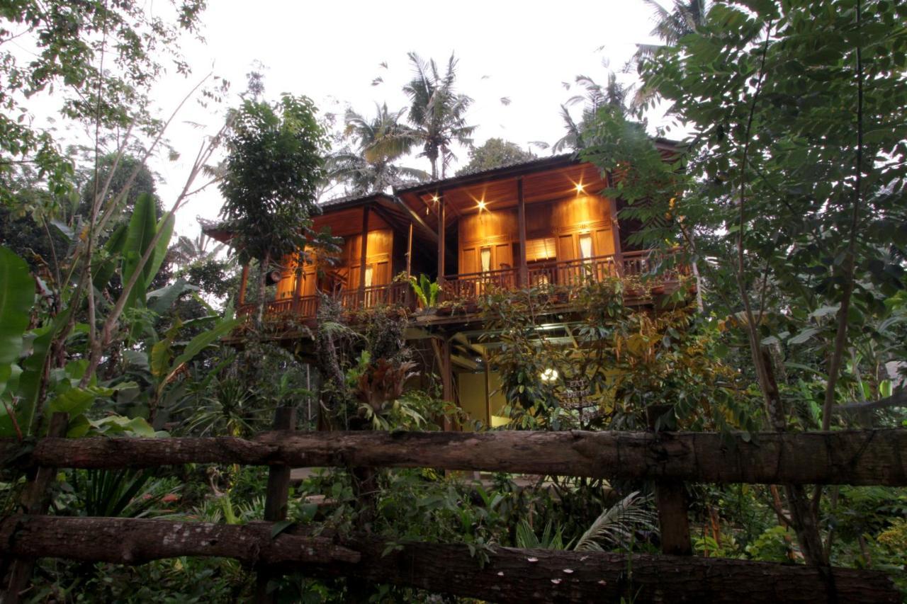 Gasthaus Jungle Joglo Tampaksiring Exterior foto