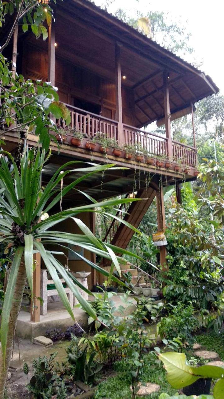 Gasthaus Jungle Joglo Tampaksiring Exterior foto